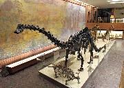 Москва. Палеонтологический музей