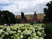 Москва. Александровский сад