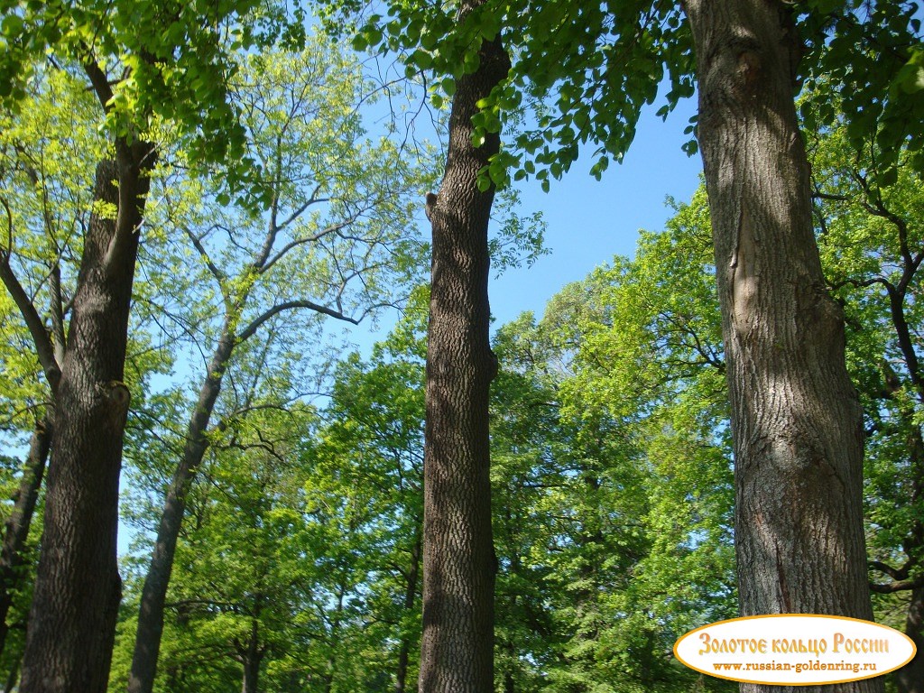 Екатерининский парк. В конце весны