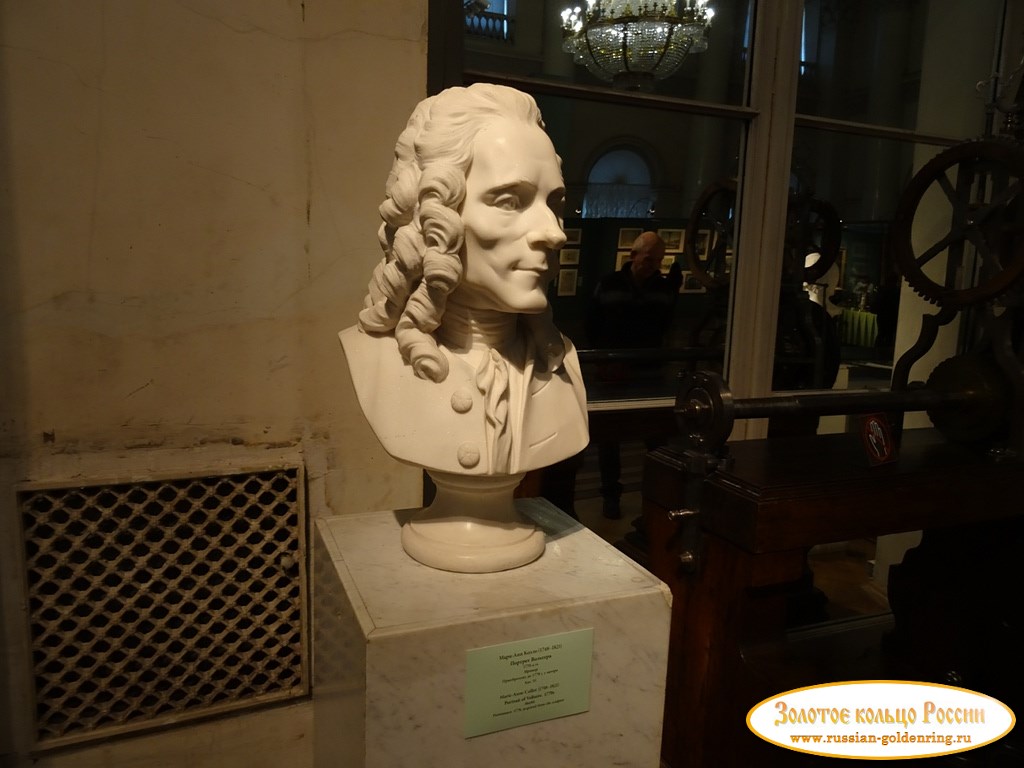 Государственный Эрмитаж (Зимний дворец). Портрет Вольтера