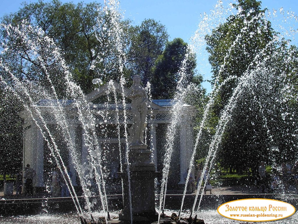 Фонтаны Петергофа. Фонтан 