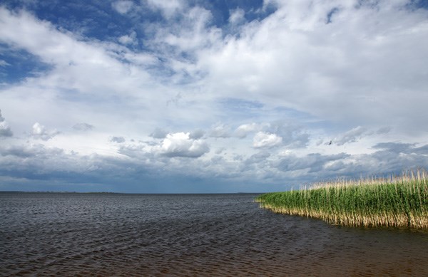 Псковское озеро. Псков